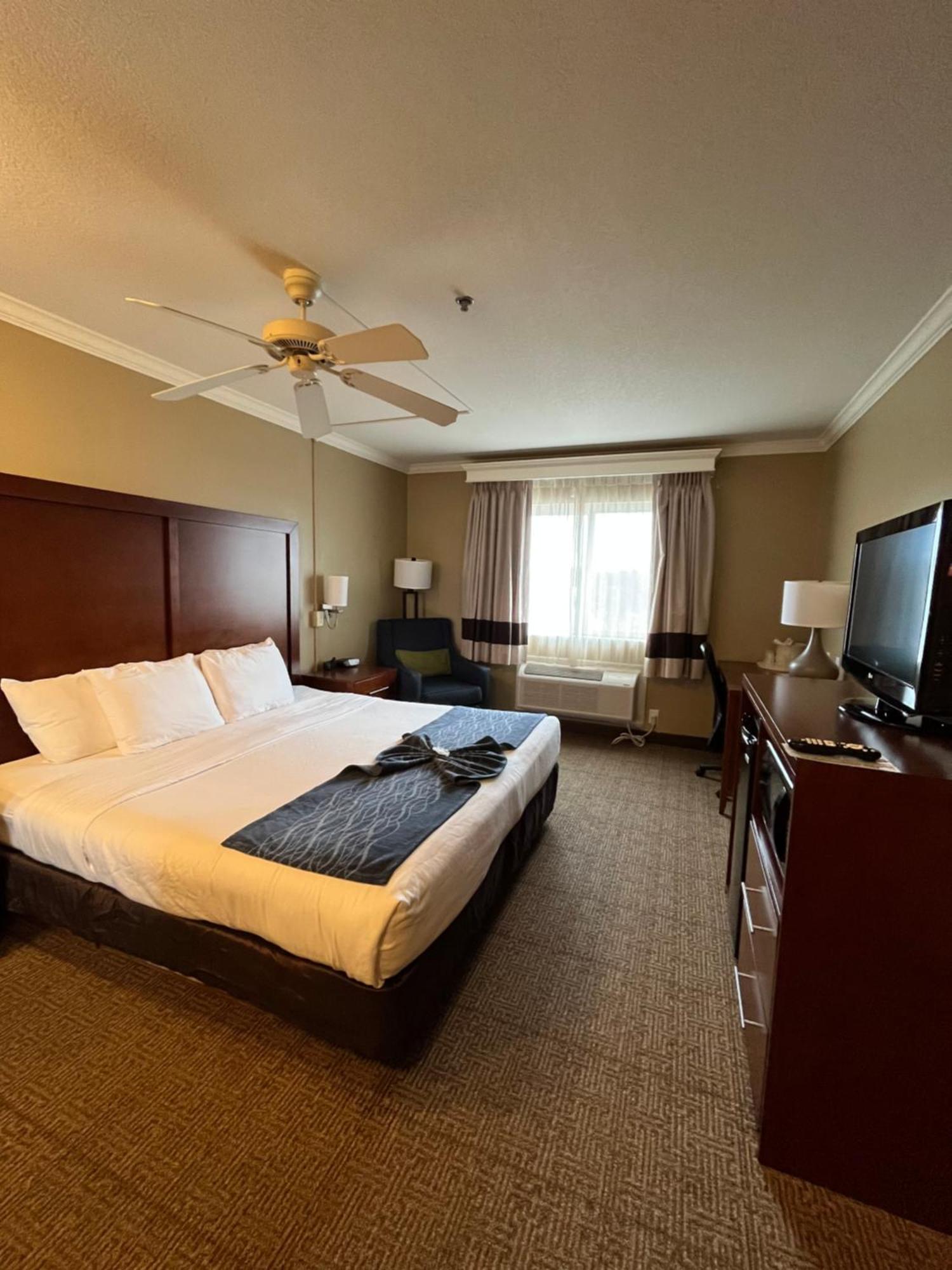 Comfort Inn & Suites אושן שורס מראה חיצוני תמונה