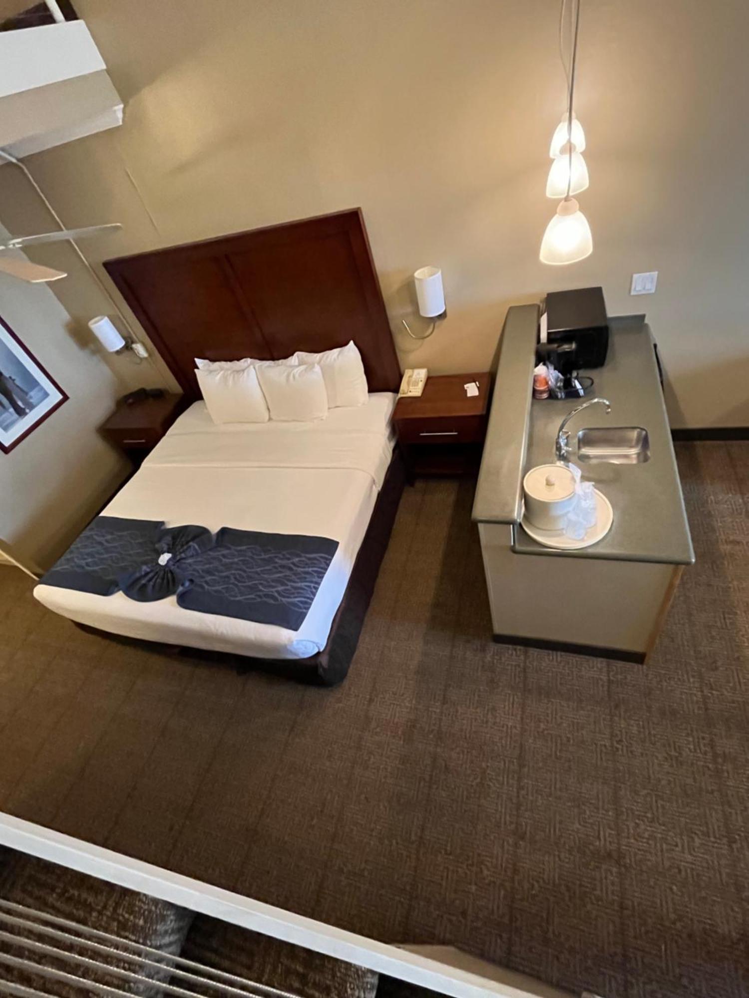 Comfort Inn & Suites אושן שורס מראה חיצוני תמונה