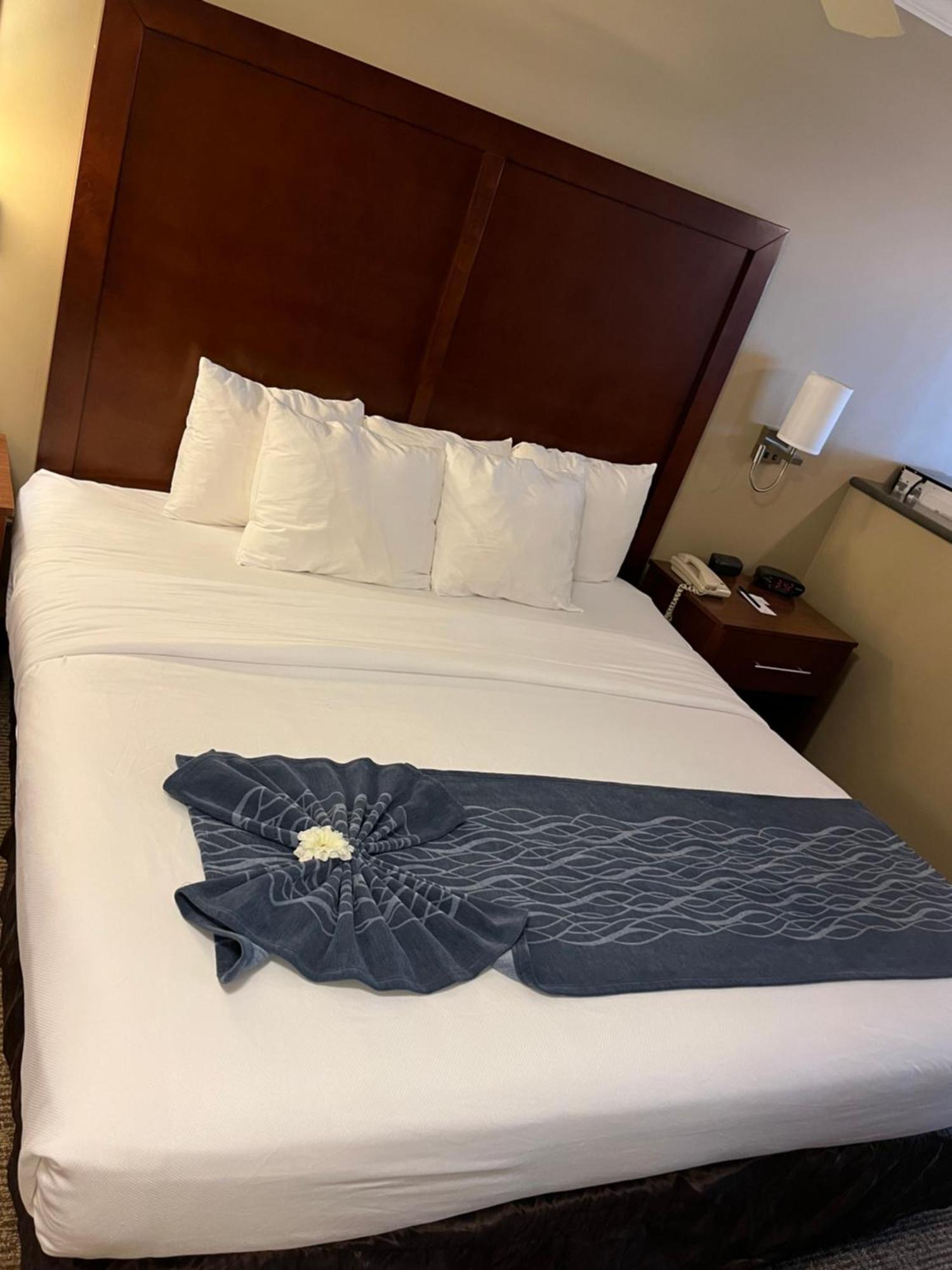 Comfort Inn & Suites אושן שורס מראה חיצוני תמונה