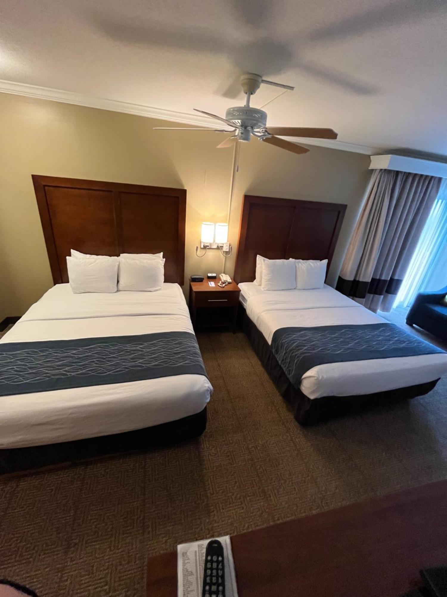 Comfort Inn & Suites אושן שורס מראה חיצוני תמונה