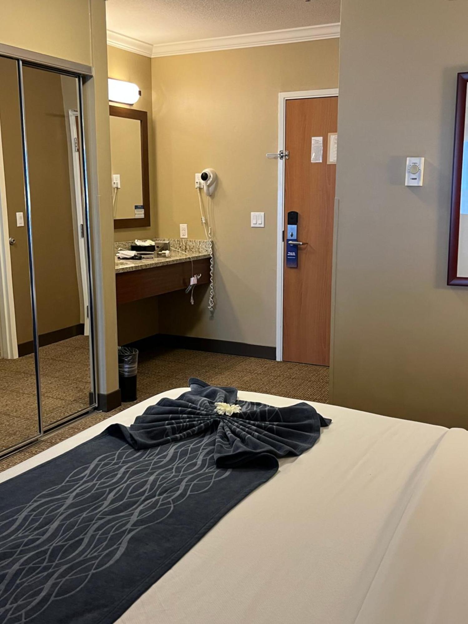 Comfort Inn & Suites אושן שורס מראה חיצוני תמונה