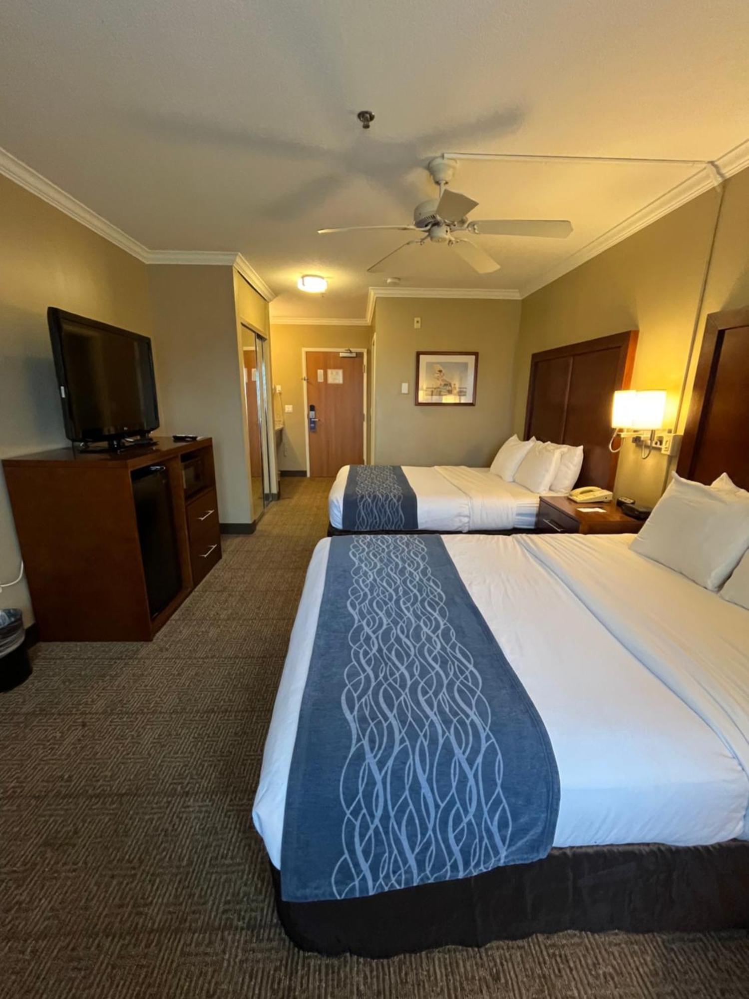 Comfort Inn & Suites אושן שורס מראה חיצוני תמונה