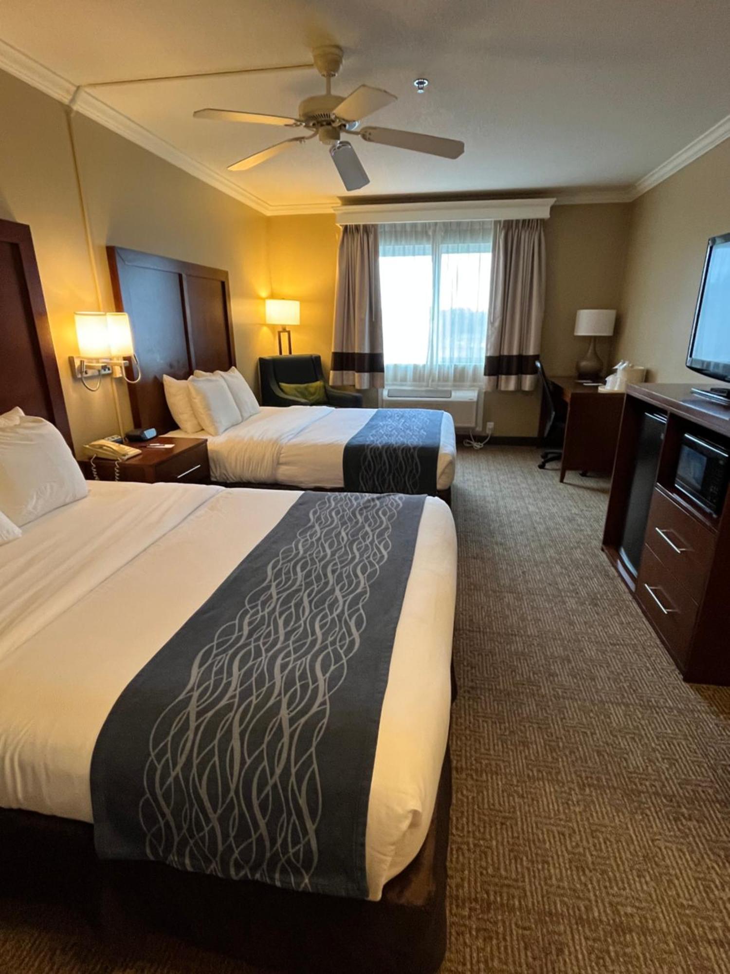 Comfort Inn & Suites אושן שורס מראה חיצוני תמונה