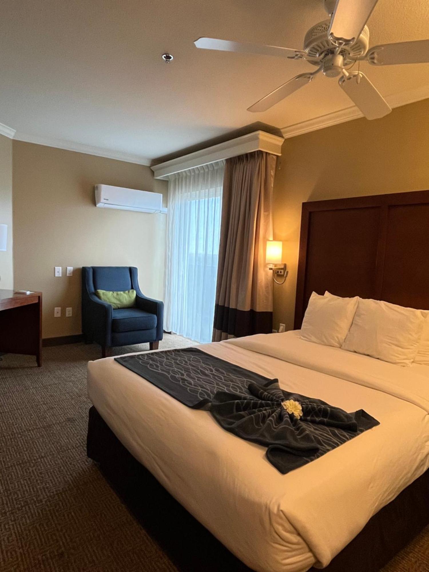 Comfort Inn & Suites אושן שורס מראה חיצוני תמונה