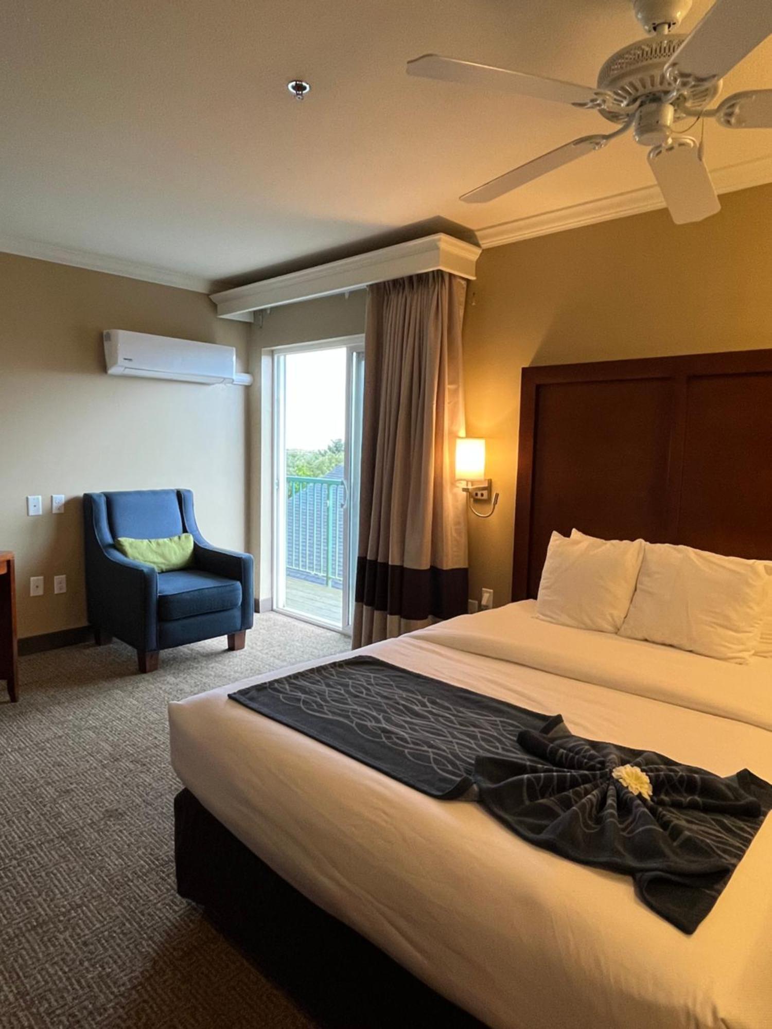 Comfort Inn & Suites אושן שורס מראה חיצוני תמונה