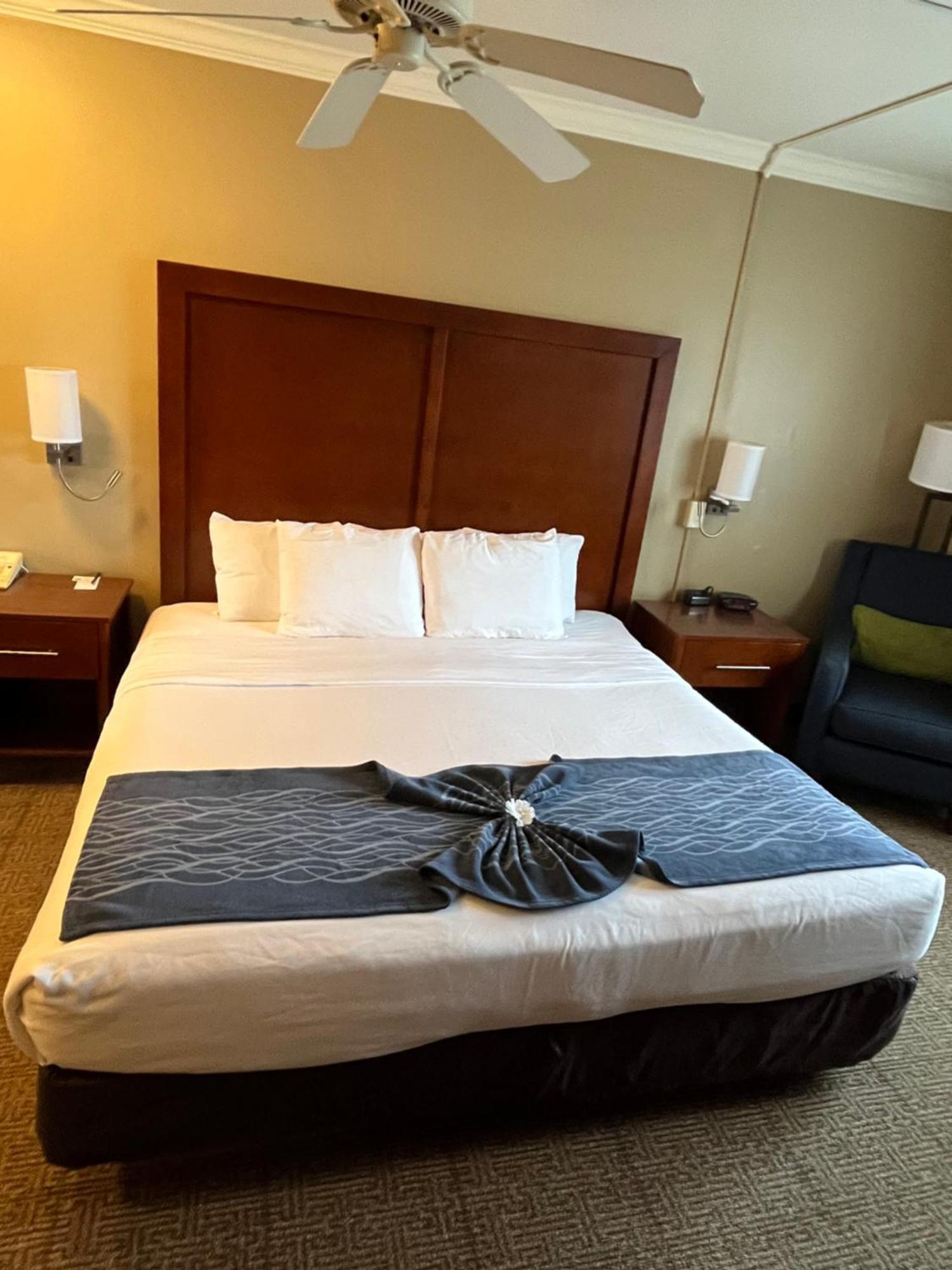 Comfort Inn & Suites אושן שורס מראה חיצוני תמונה