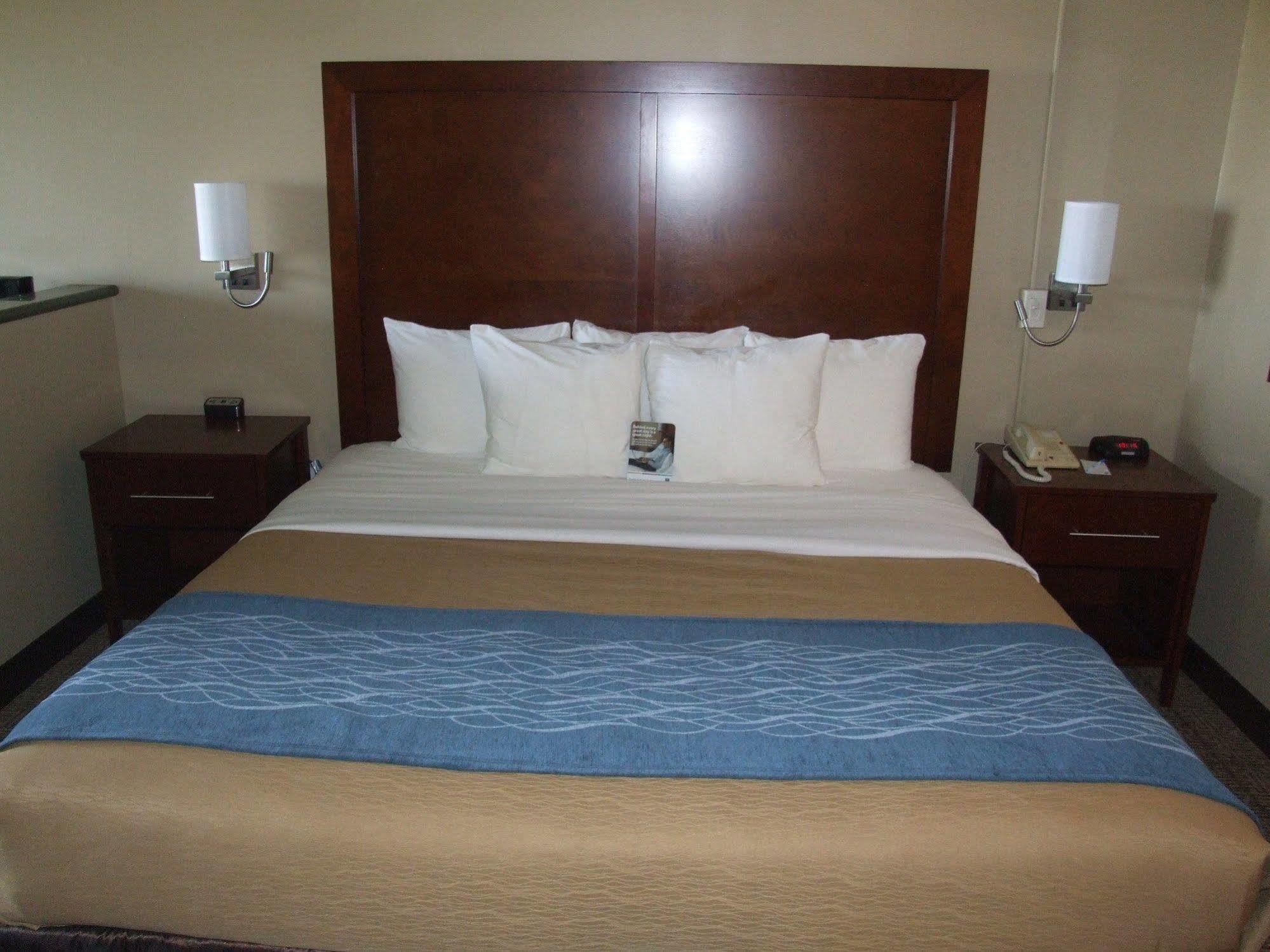 Comfort Inn & Suites אושן שורס מראה חיצוני תמונה